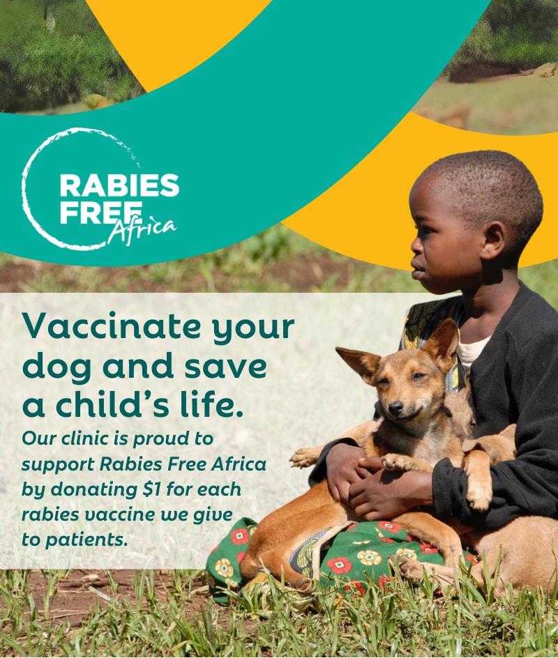 Child with dog - Rabies Free Africa