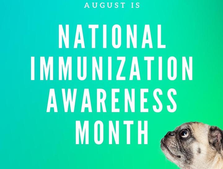 National Immunization Awareness Month!