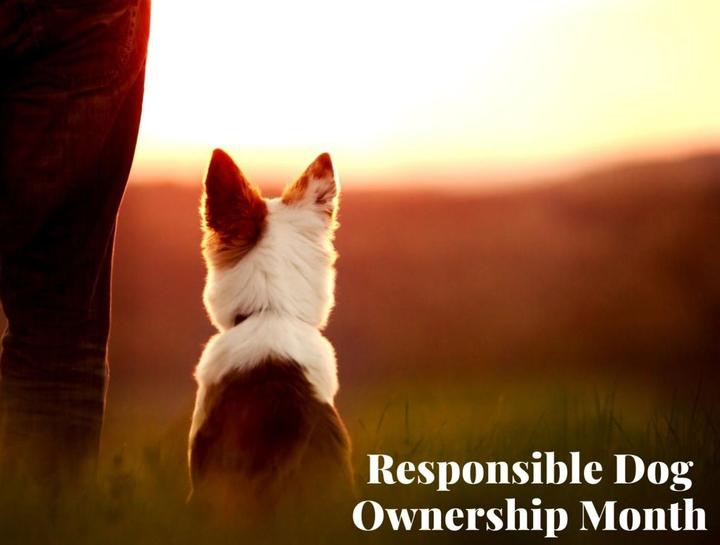 Responsible Dog Ownership Month